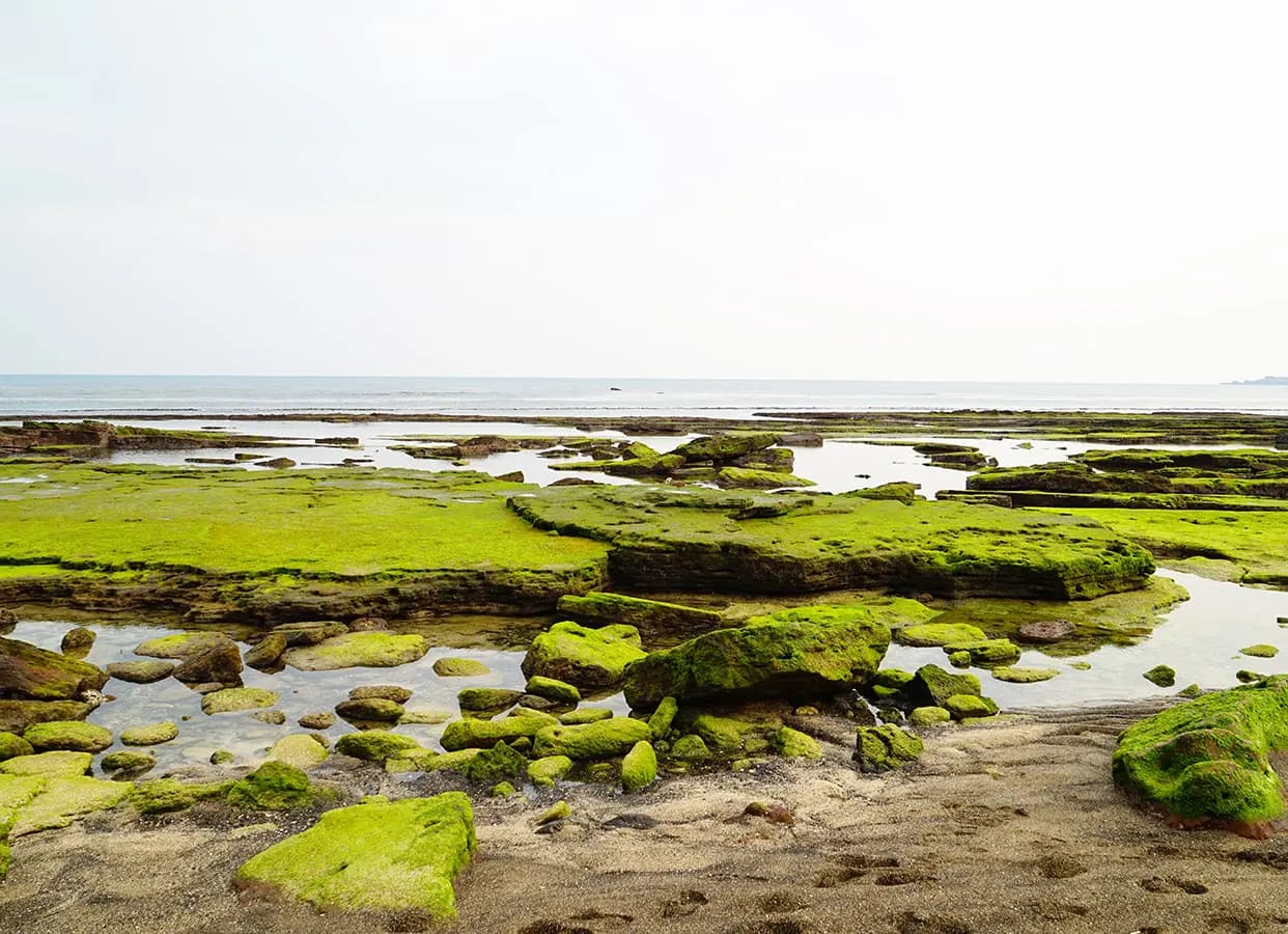 光致奇海邊 (Gwangchigi Beach)