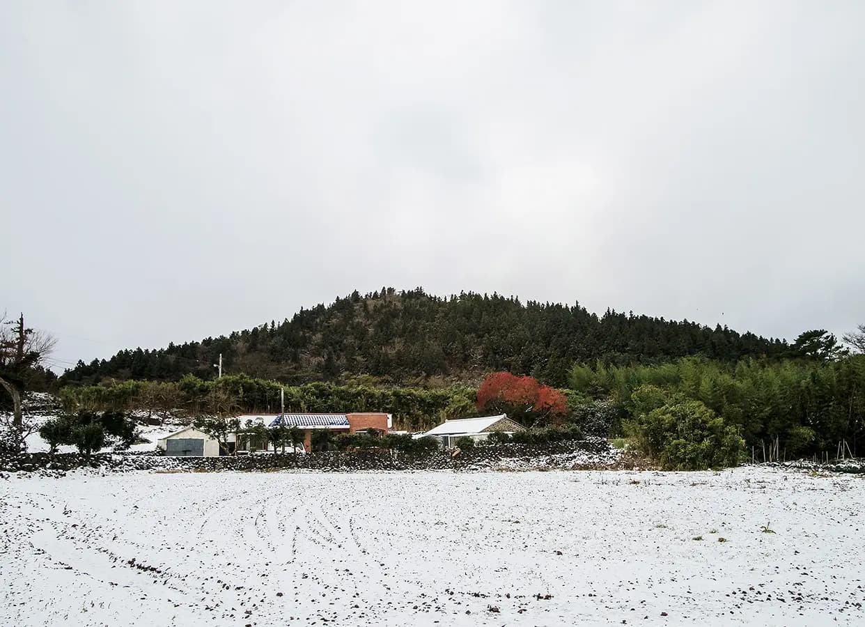 Ansemi Oreum Volcanic Cone (Myeongdo Oreum Volcanic Cone)