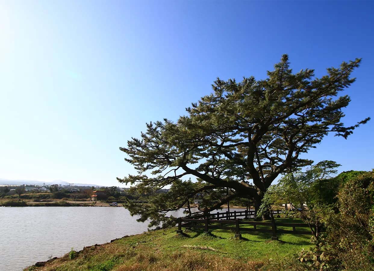水山水庫