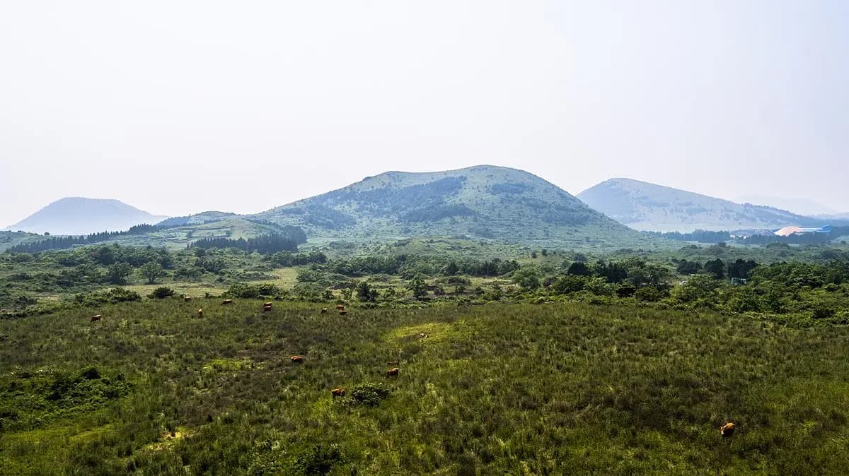 Dang Oreum Volcanic Cone (Andeok-myeon)