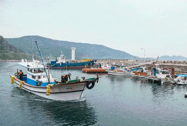 Sinyang Port (Hachuja Port)