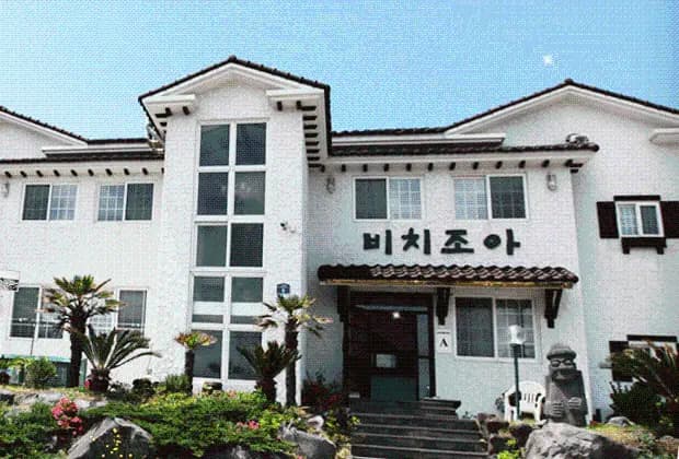 비치조아