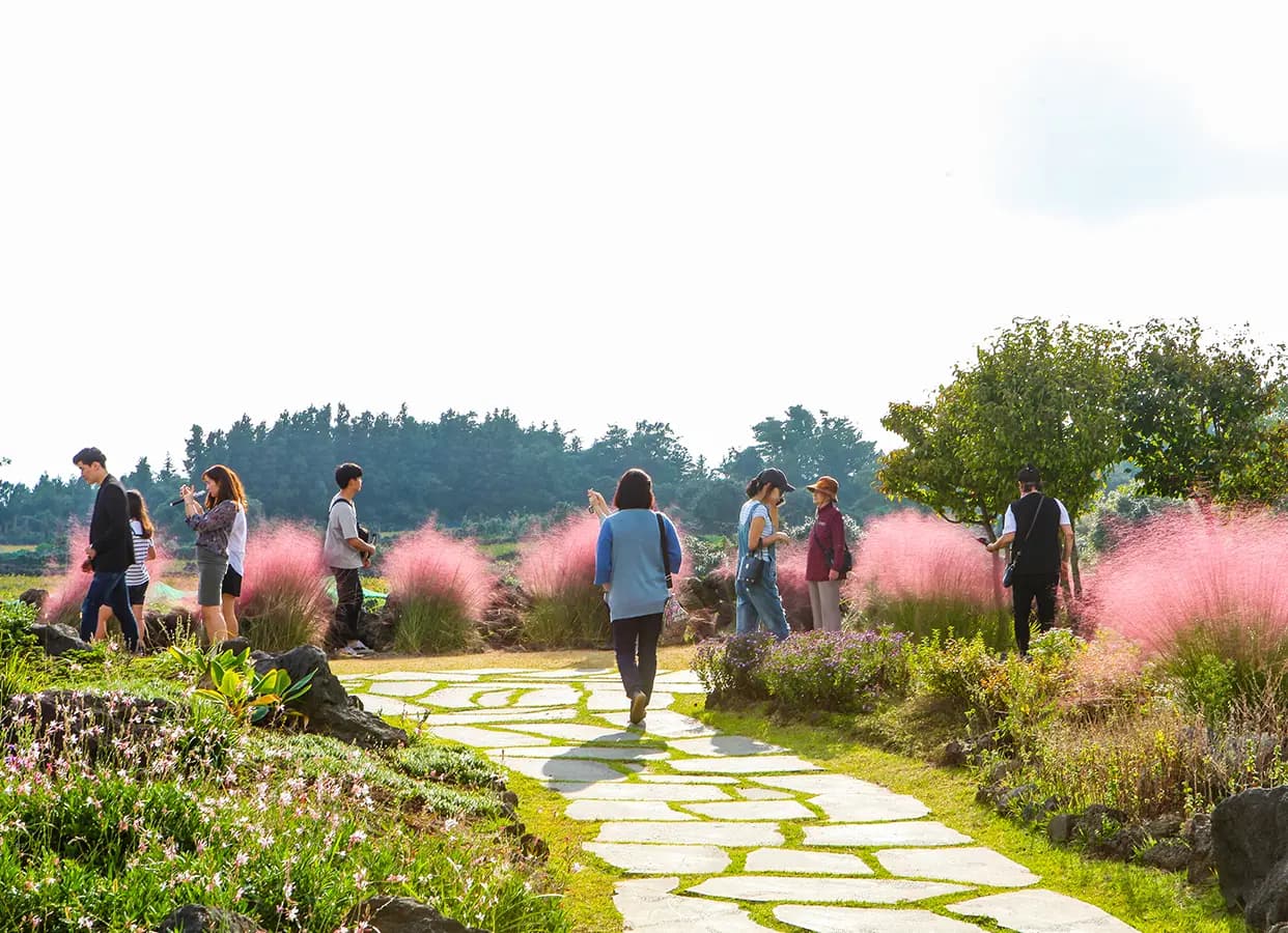 사진 찍기 좋은 제주 데이트 장소