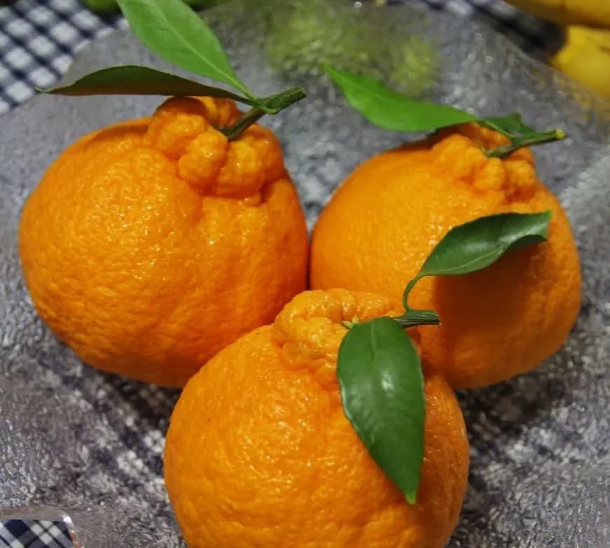 ハンマウム漢拏峰
