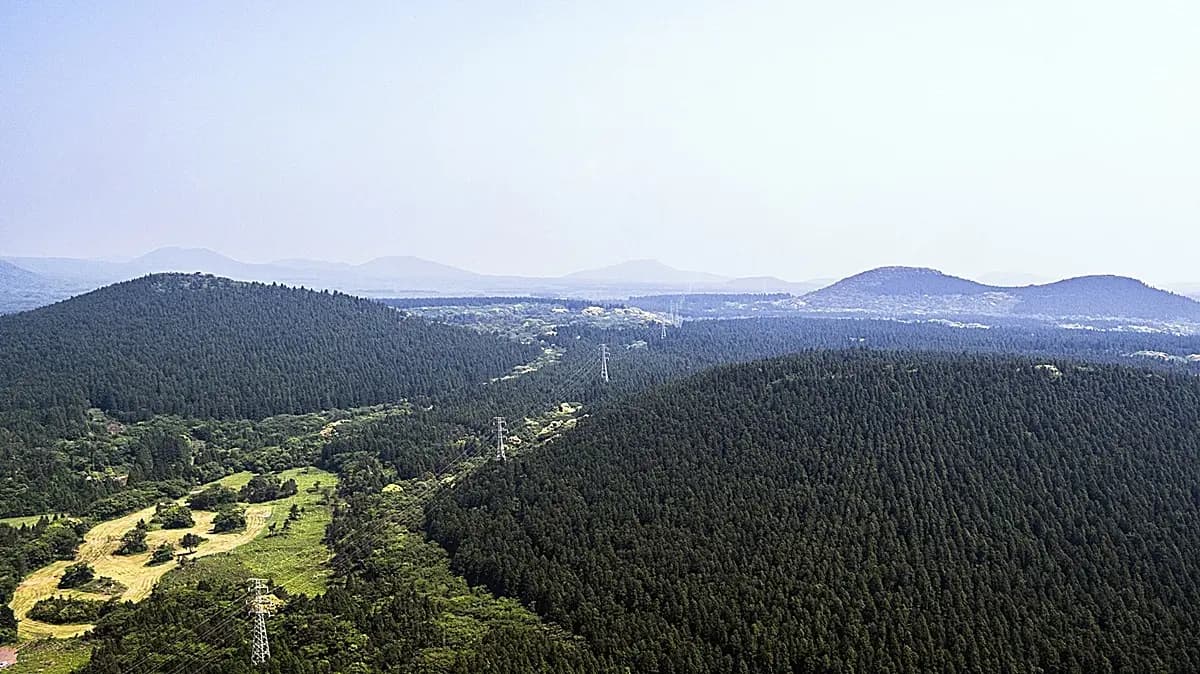 사려니오름 (沙勒尼火山丘)