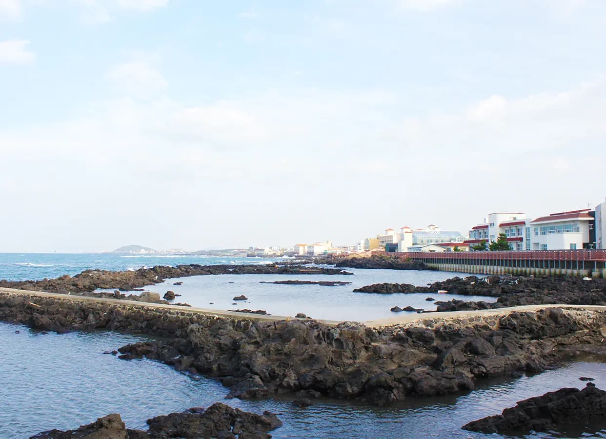 連帯砲口