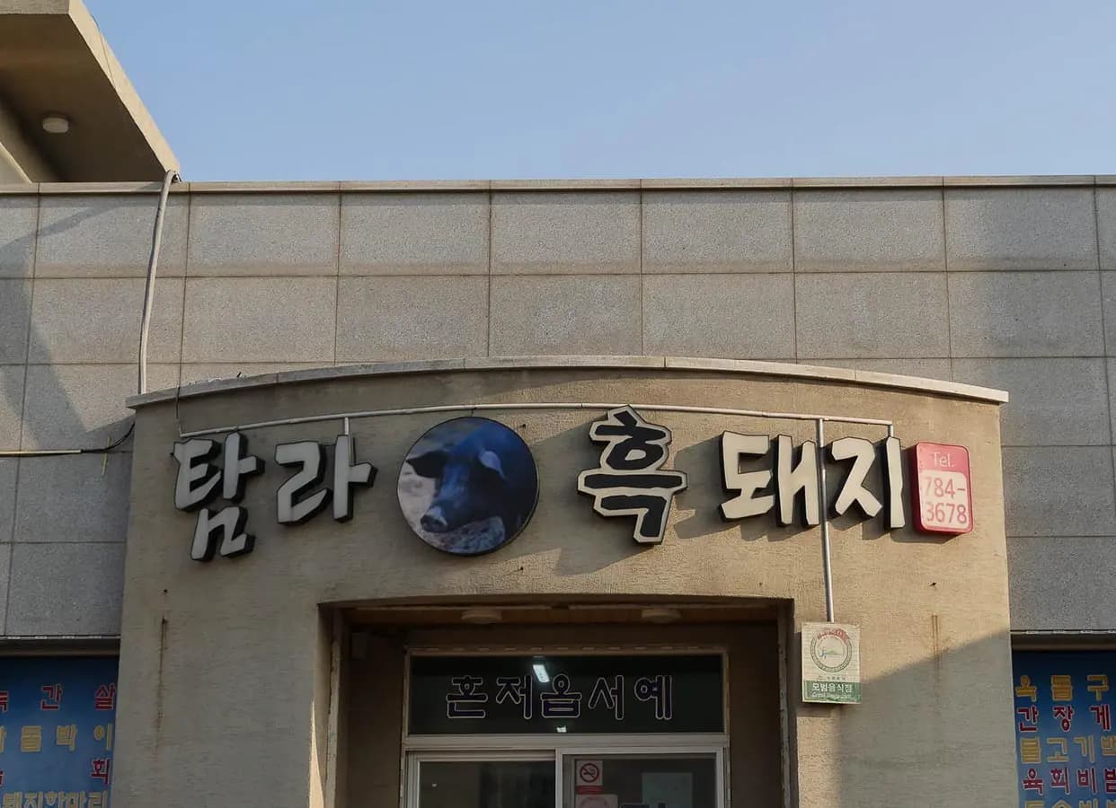 塔姆拉黑猪