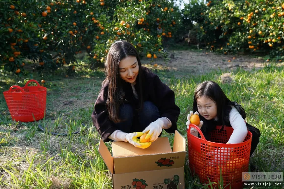 For KID, With KID. 아이와 함께하는 제주도 체험 여행<사랑하는 아이와 함께여서 더욱 뜻깊은 체험>