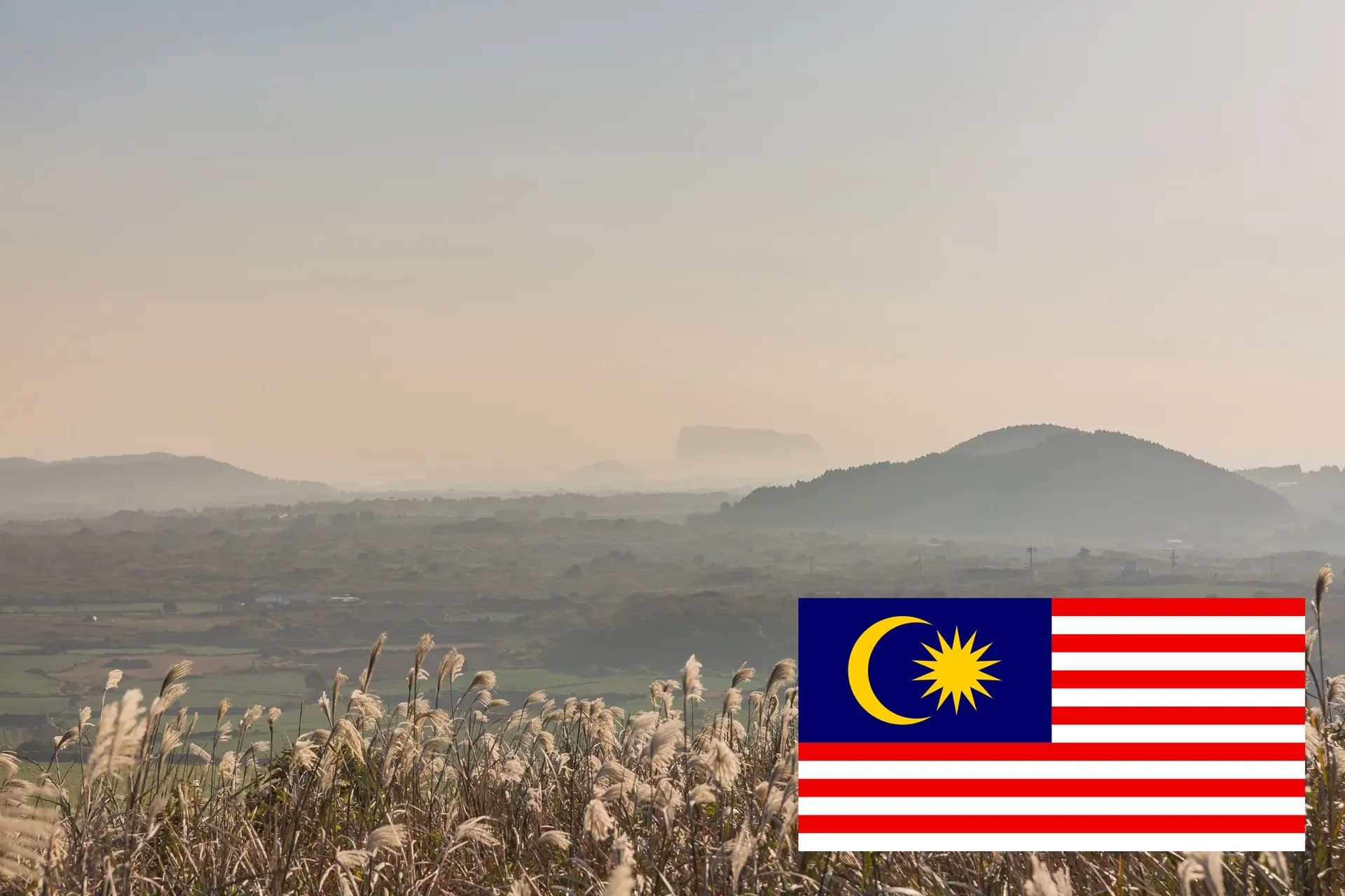 Jatuh Cinta dengan Musim Luruh Jeju