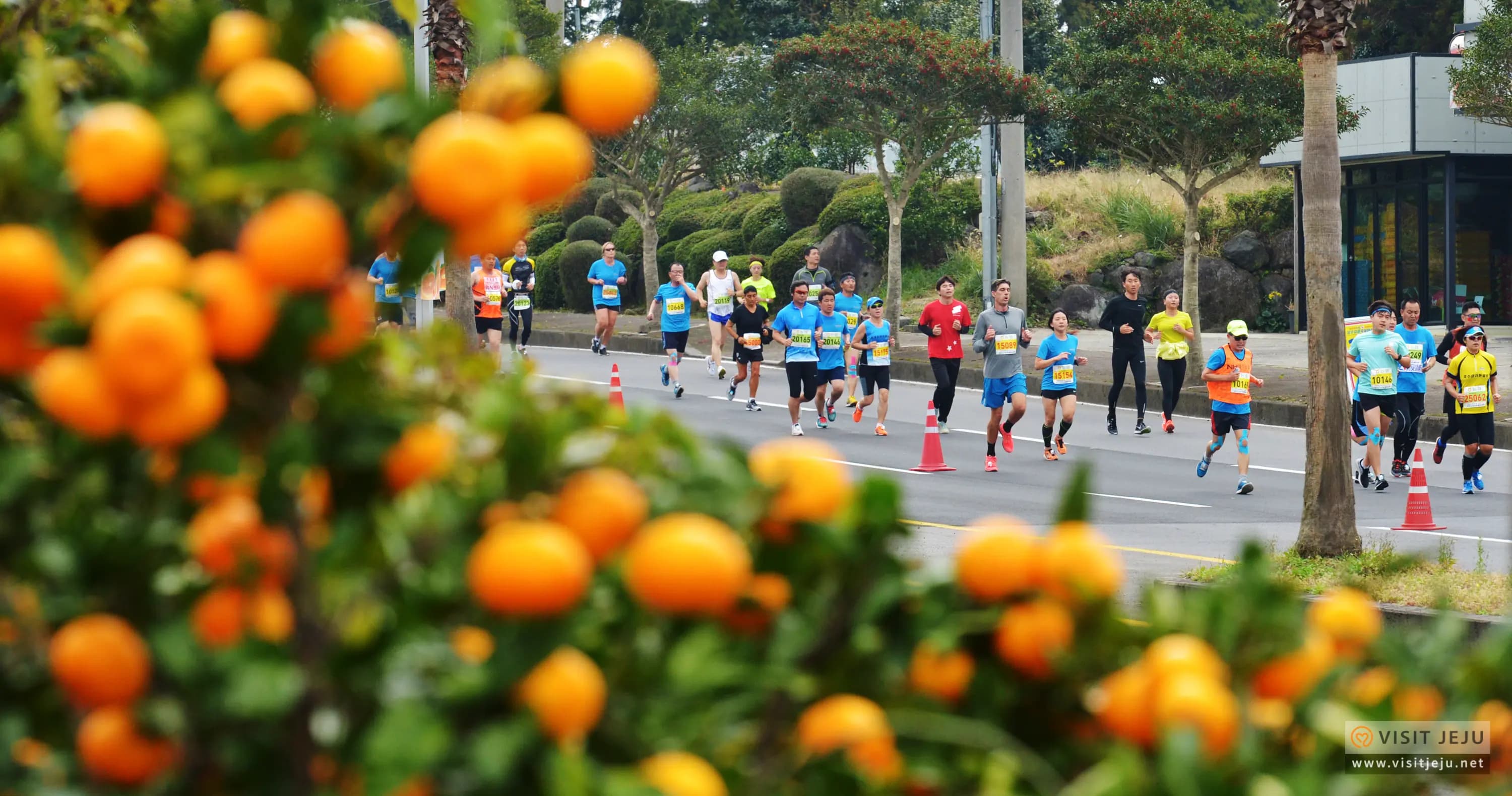 Jeju Mandarin International Marathon