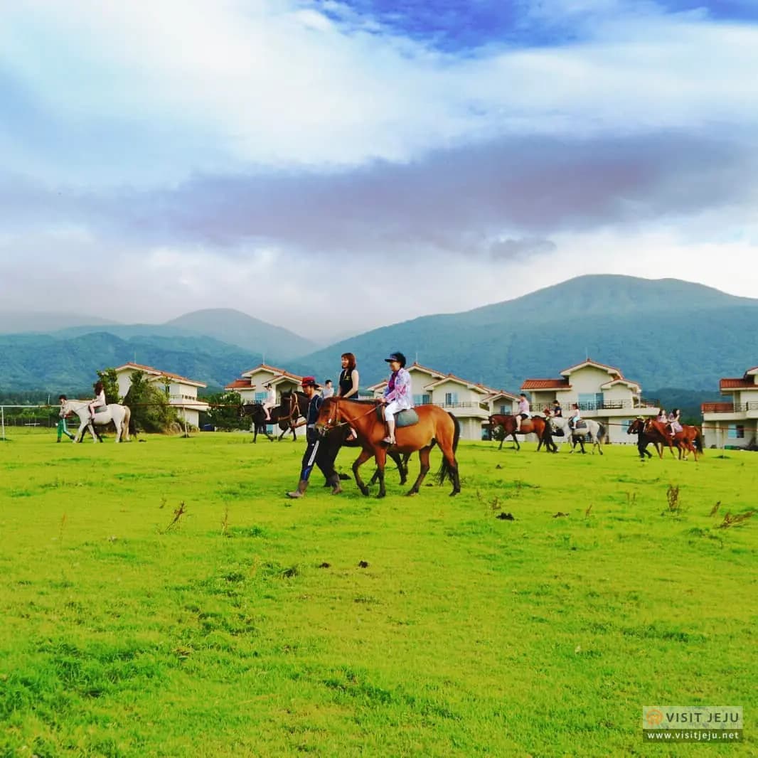 Let’s Ride and Hike: 4 Activities on Jeju in Autumn 