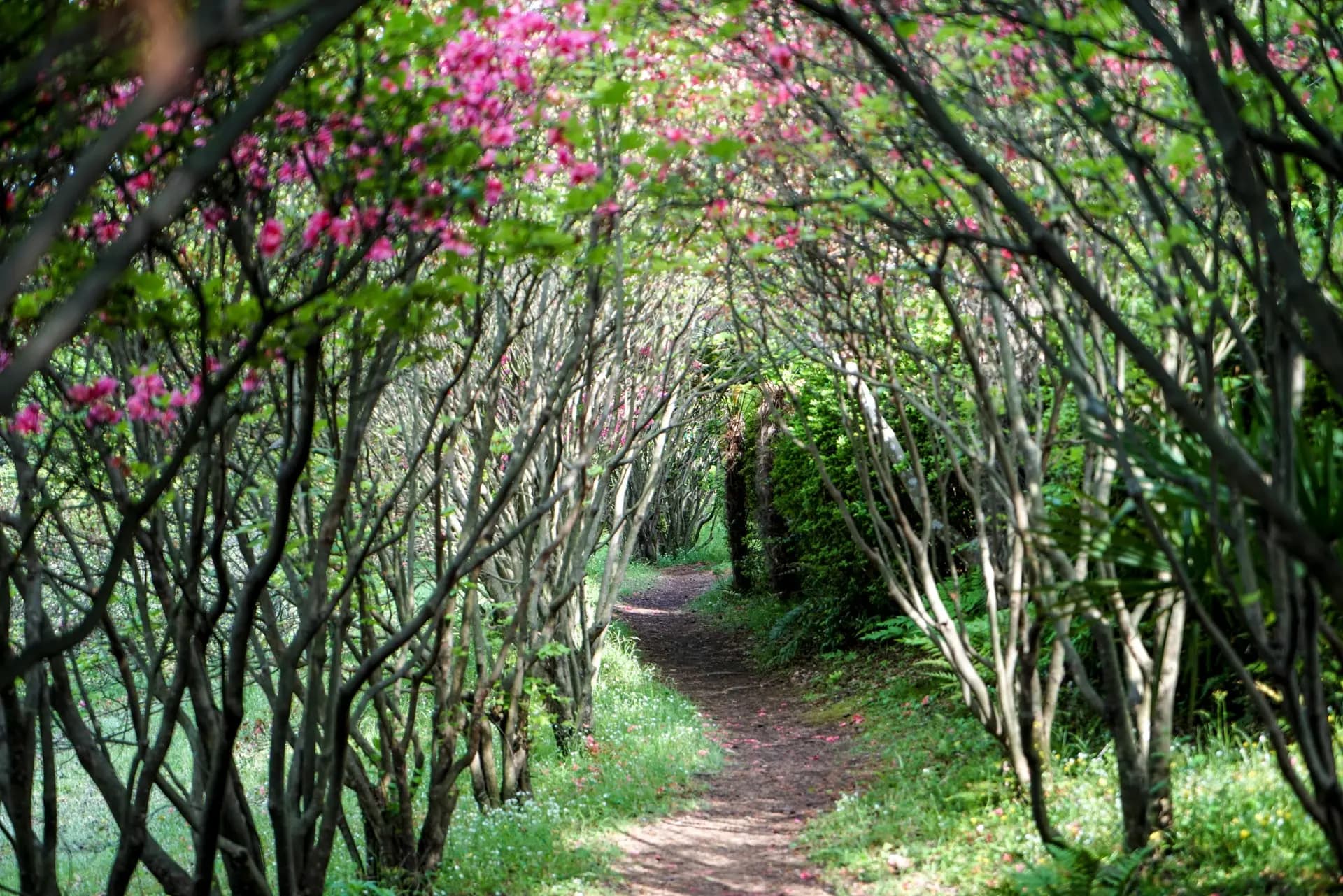 Sanghyowon Botanical Garden
