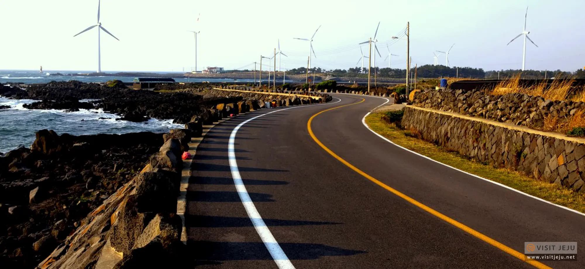 Driving In Jeju
