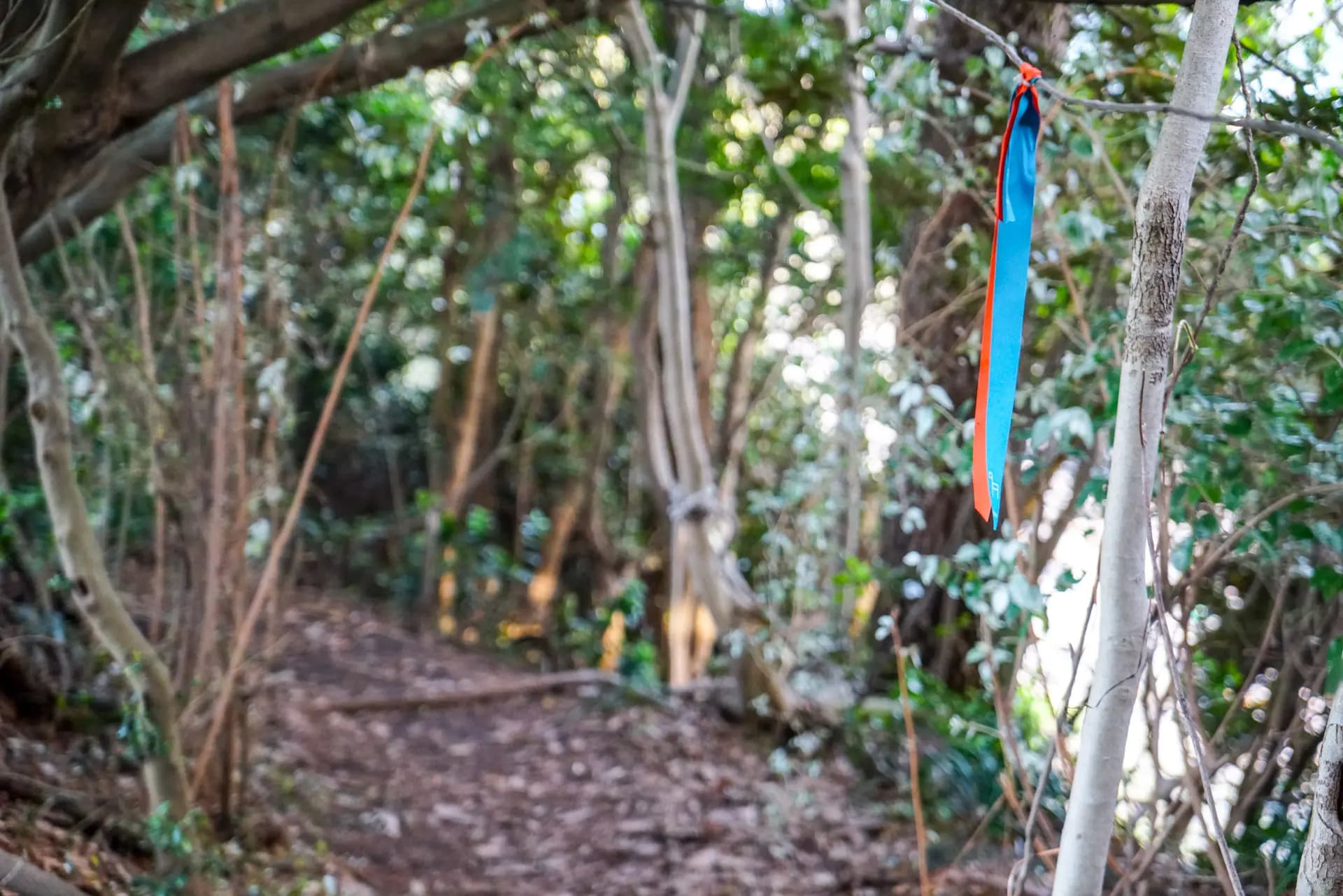 Jeju Olle Course 6