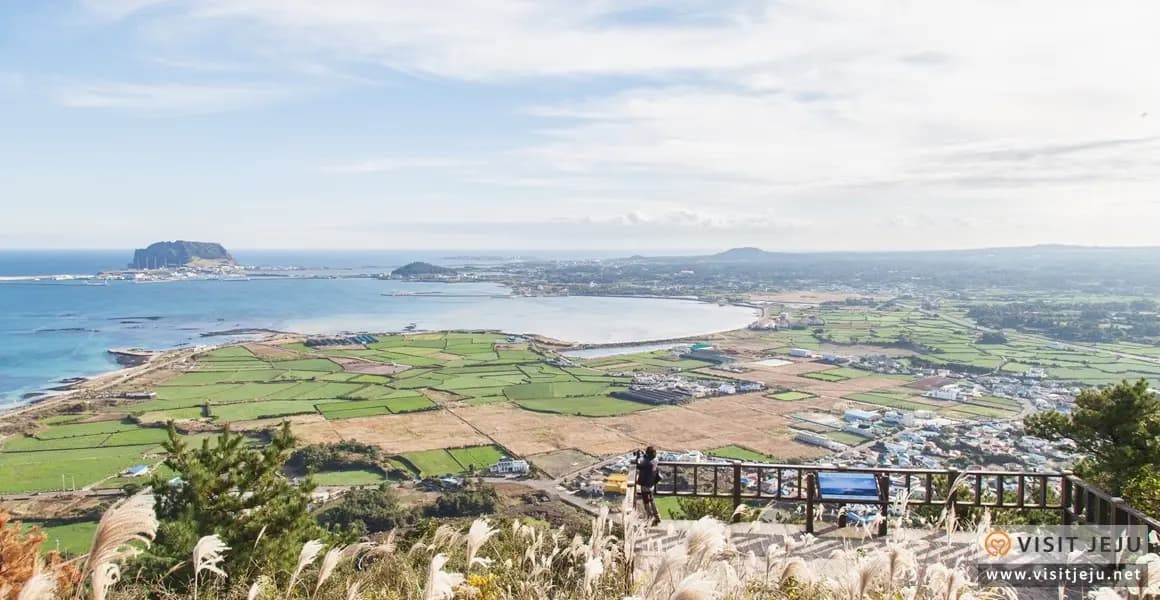 The Hawaii of Korea <Preparing to Travel to Jeju-do, South Korea>