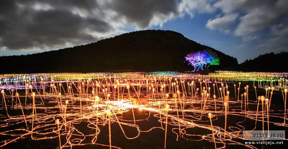 “Romantic Jeju” full of lights <Nighttime Tourist Attractions in Jeju>
