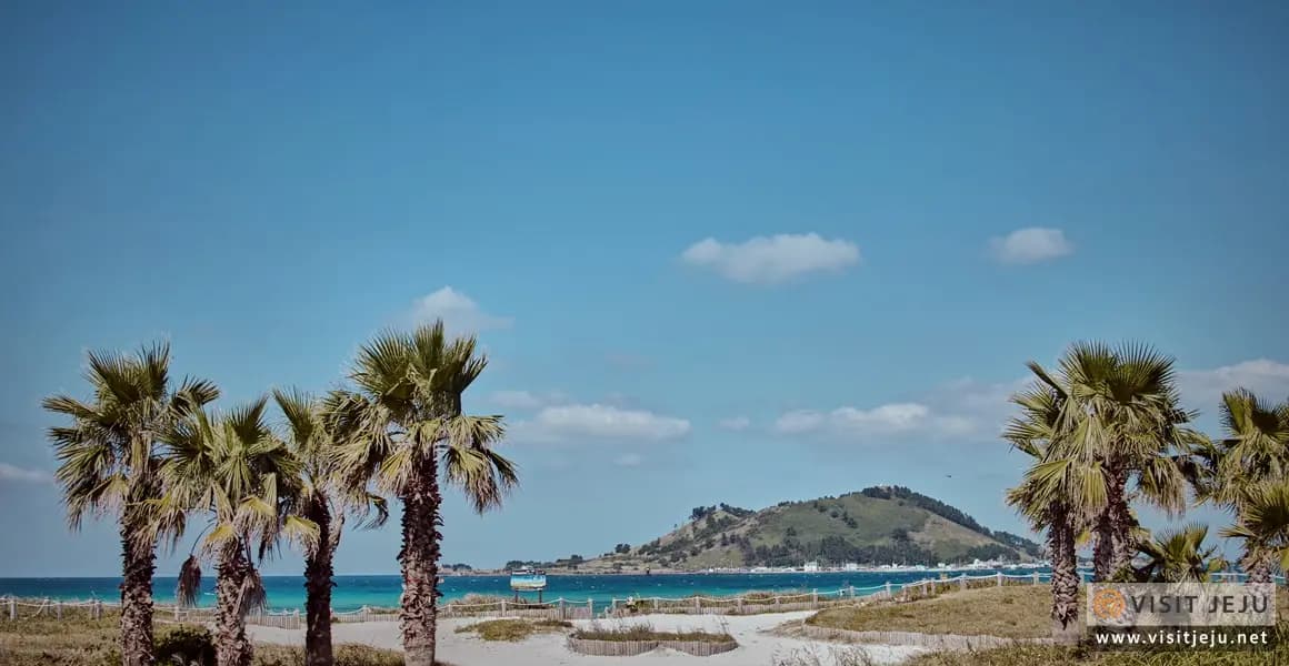 visitjeju-cnts-200000000009516