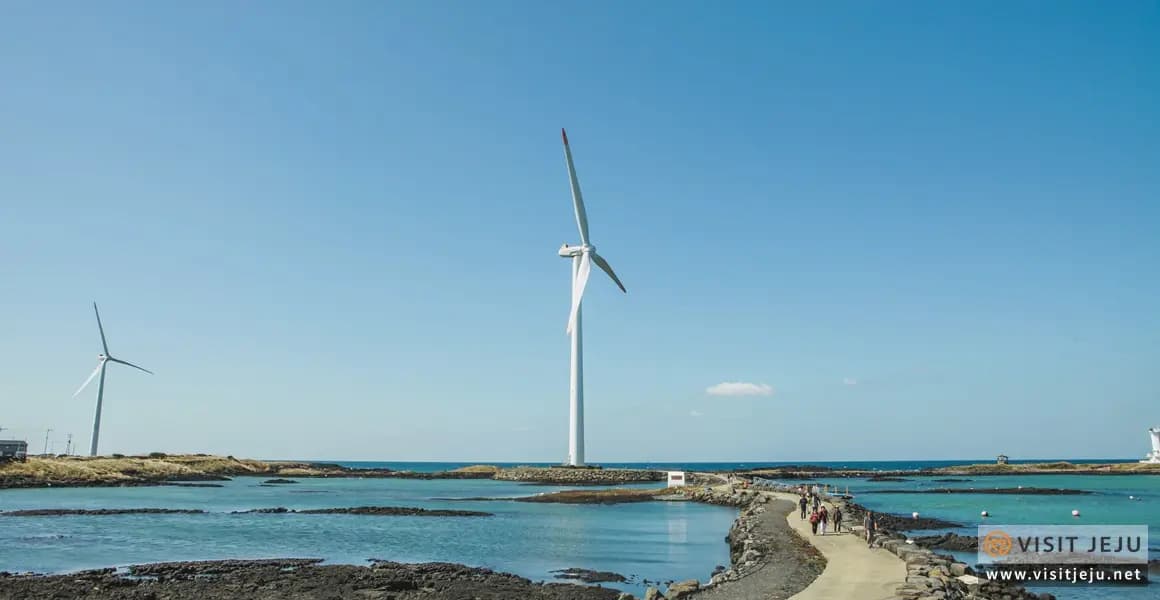 visitjeju-cnts-200000000009557