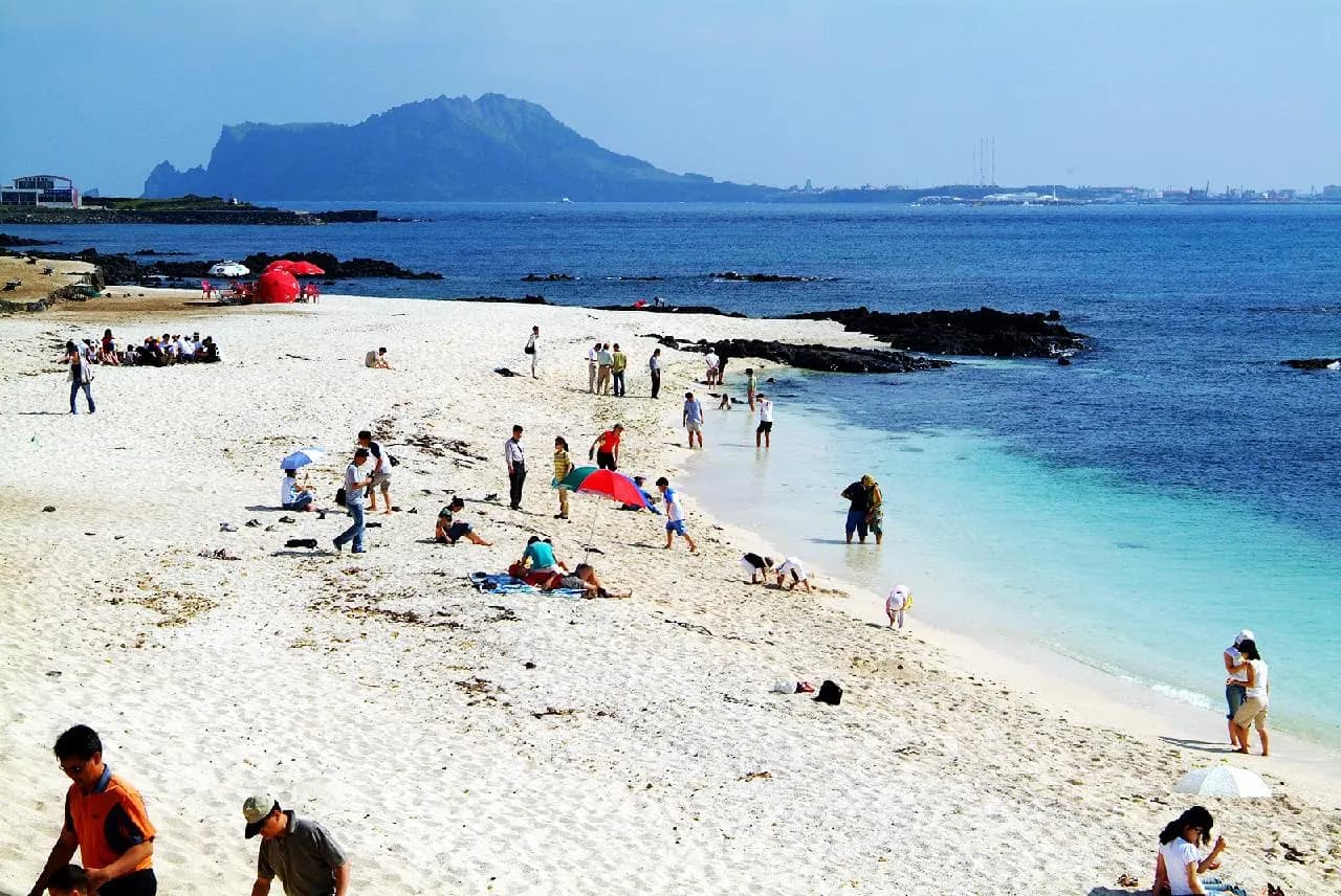 All About Udo <What to See, Do, and Eat on the Island off the Island>