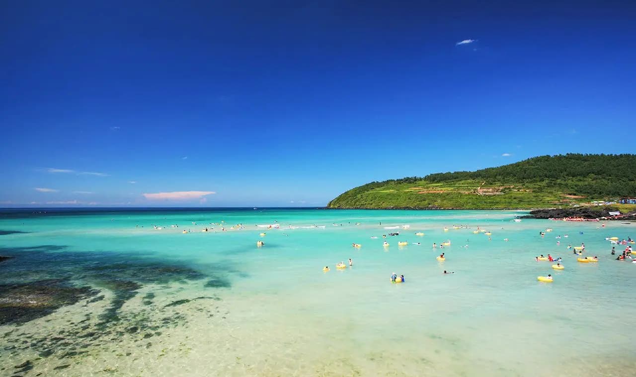 Must Visit on Any Summer Trip <The Jeju Beaches and Beach Festivals>