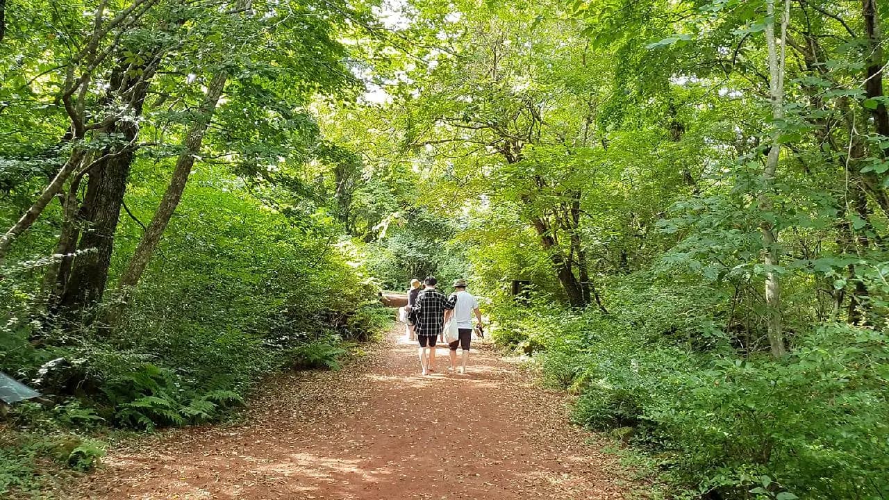 今まで見たことのないチェジュがみたい? <島の息吹、コッチャワル>