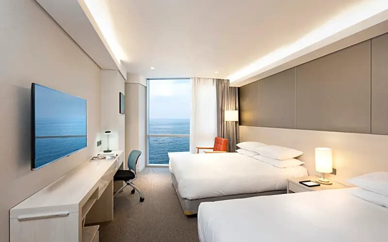 Jeju Nightlife Stay Guide