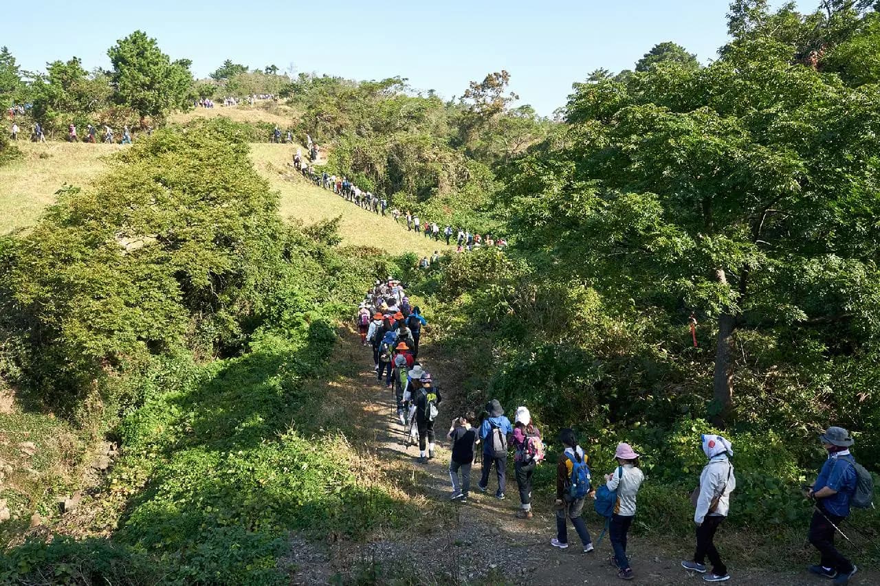 Walking, Food, and Culture on Jeju <Introduction to 2020 Jeju Olle Walking Festival>