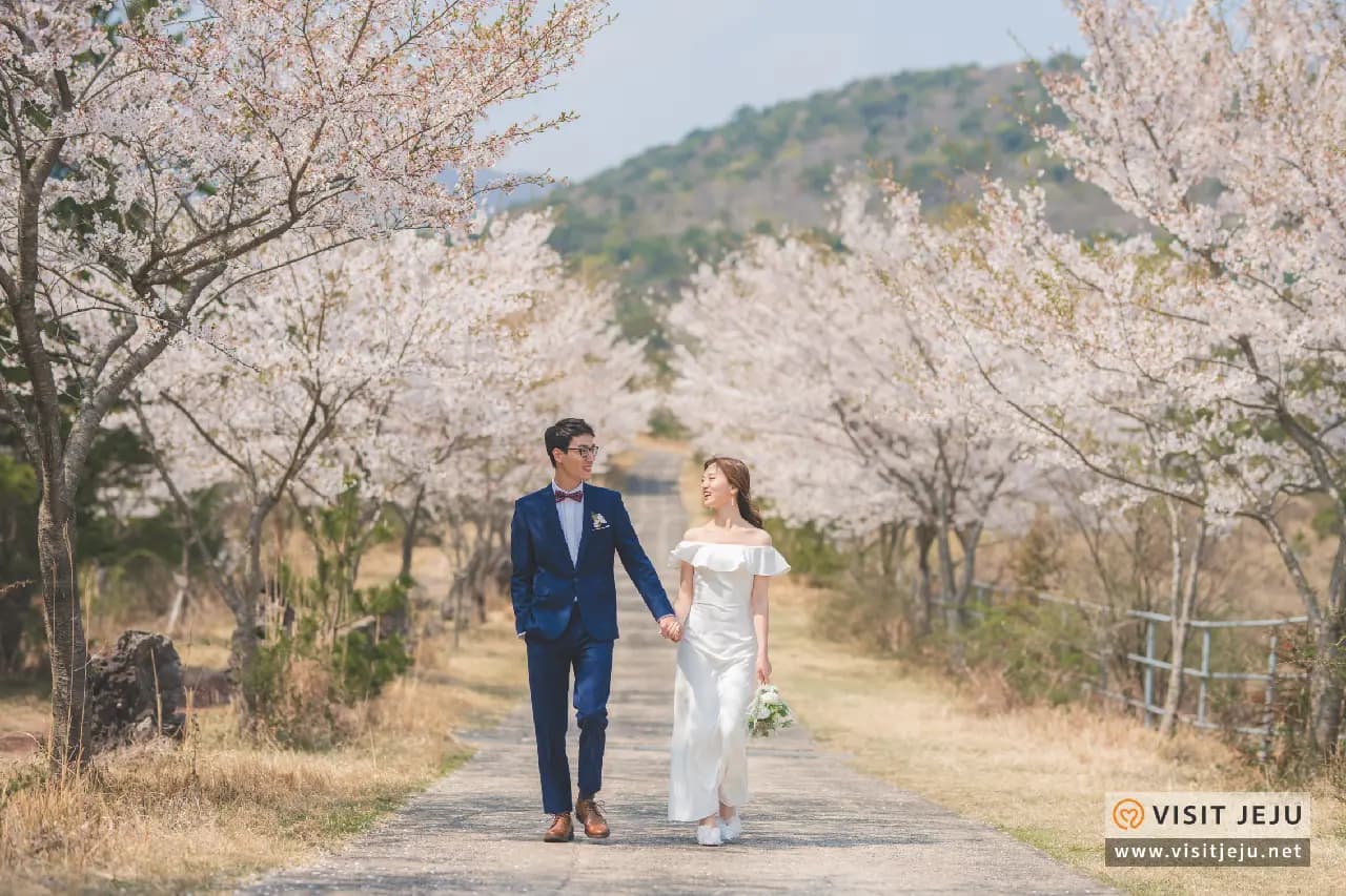 겨울 그리고 봄 〈웨딩스팟 & 촬영 팁〉