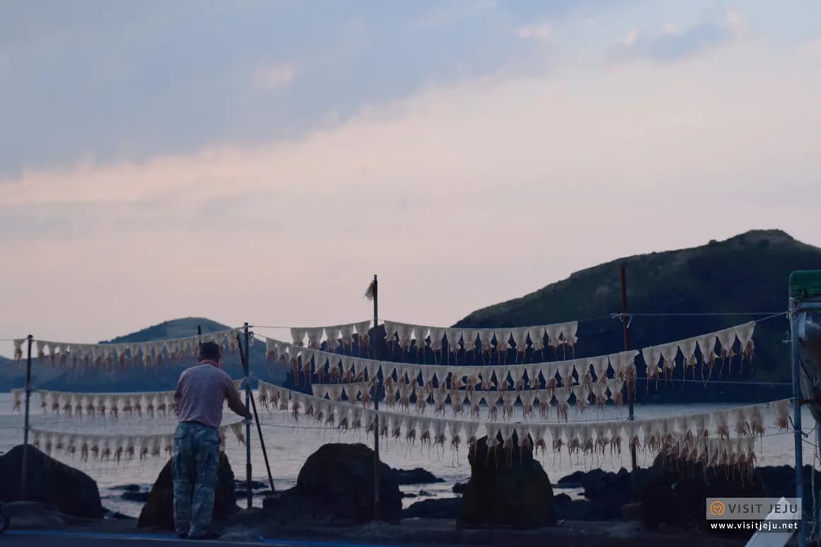 나홀로 떠나는 제주여행 <제주 서부 혼행 강추 POINT 5>