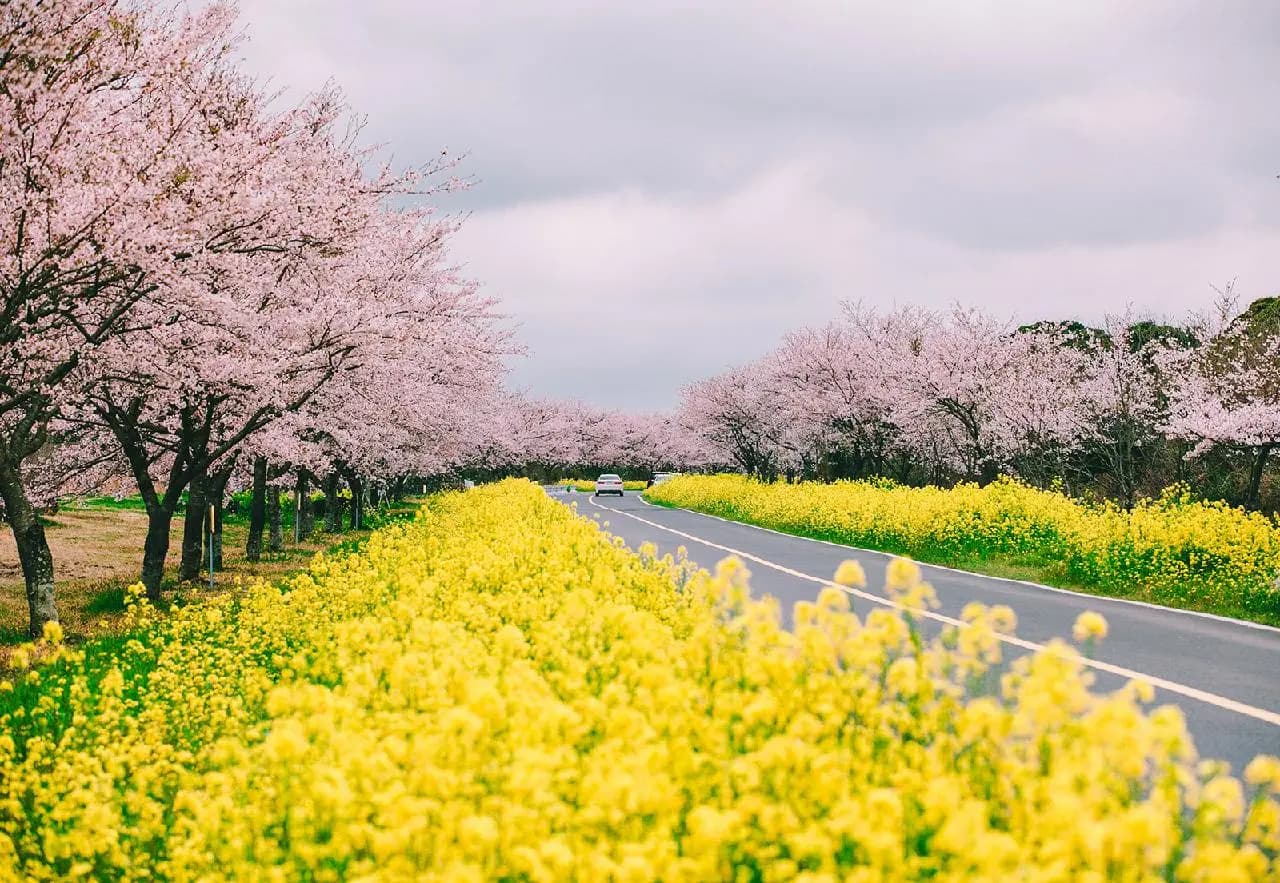 visitjeju-cnts-200000000010932