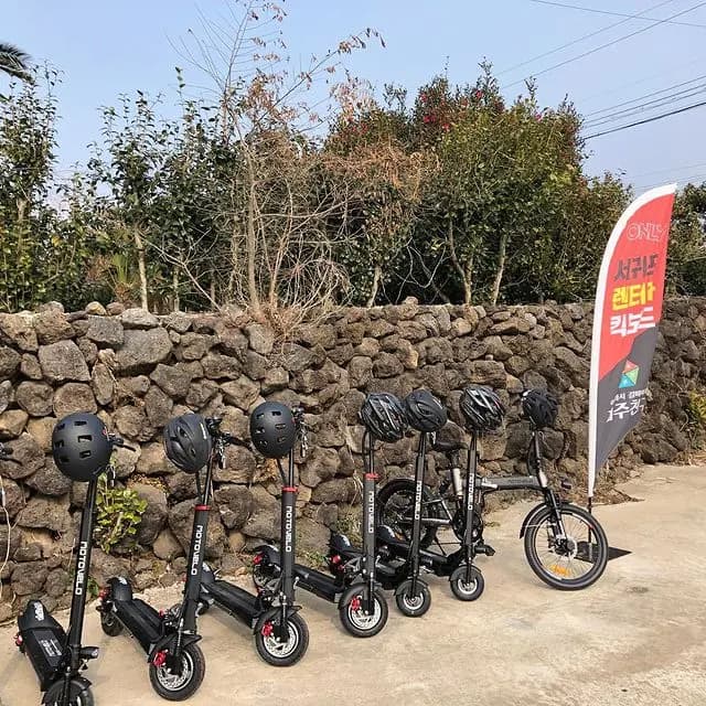 제주친구