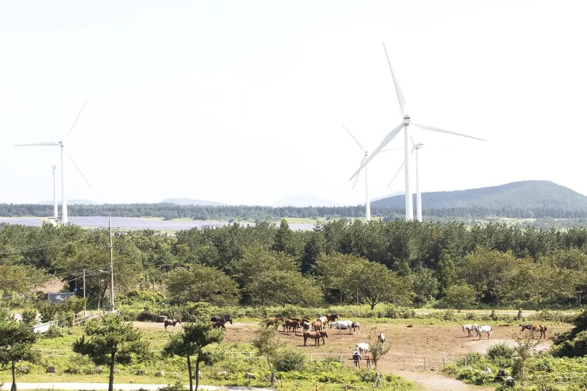 [서귀포 건축문화기행] 8코스. 풍광이 된 제주 말의 놀이터