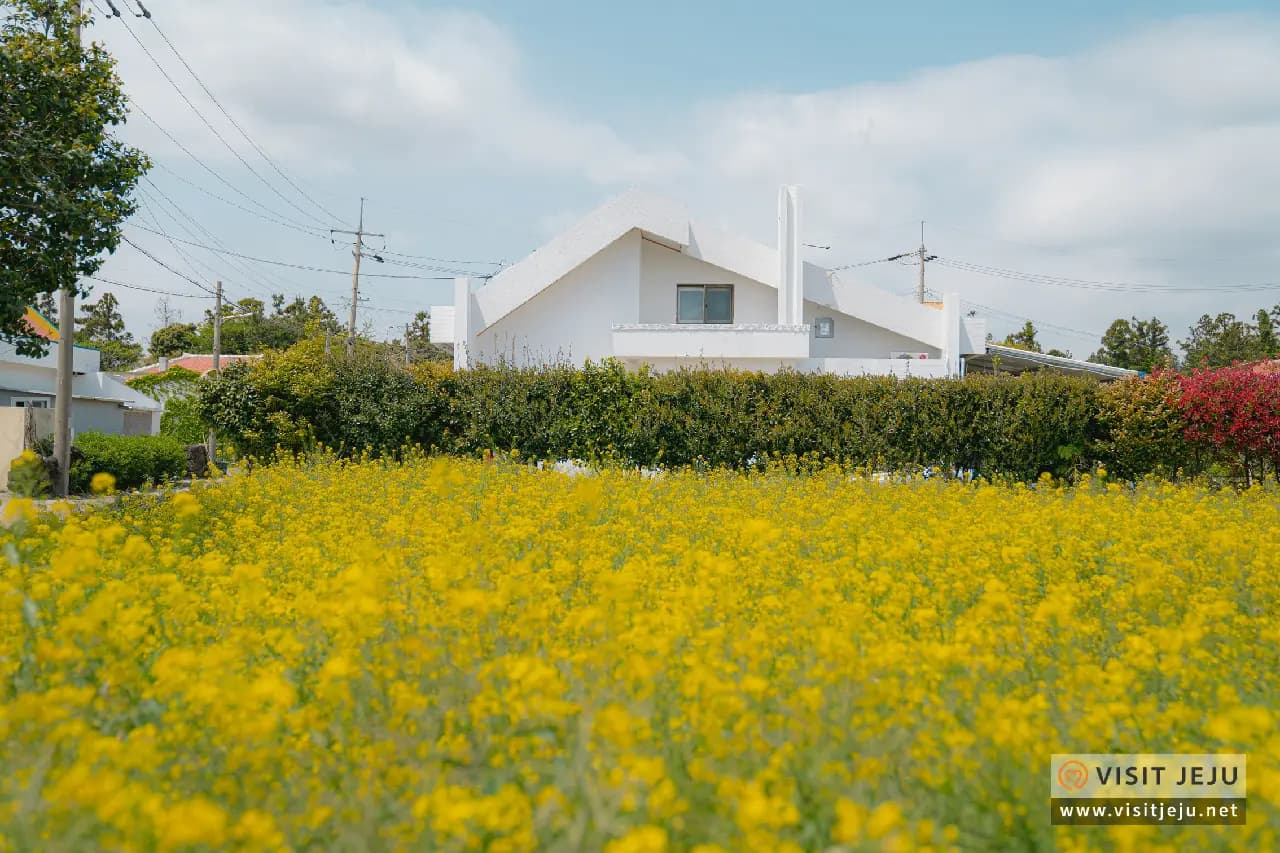 제주마을산책 <성산읍> (상)