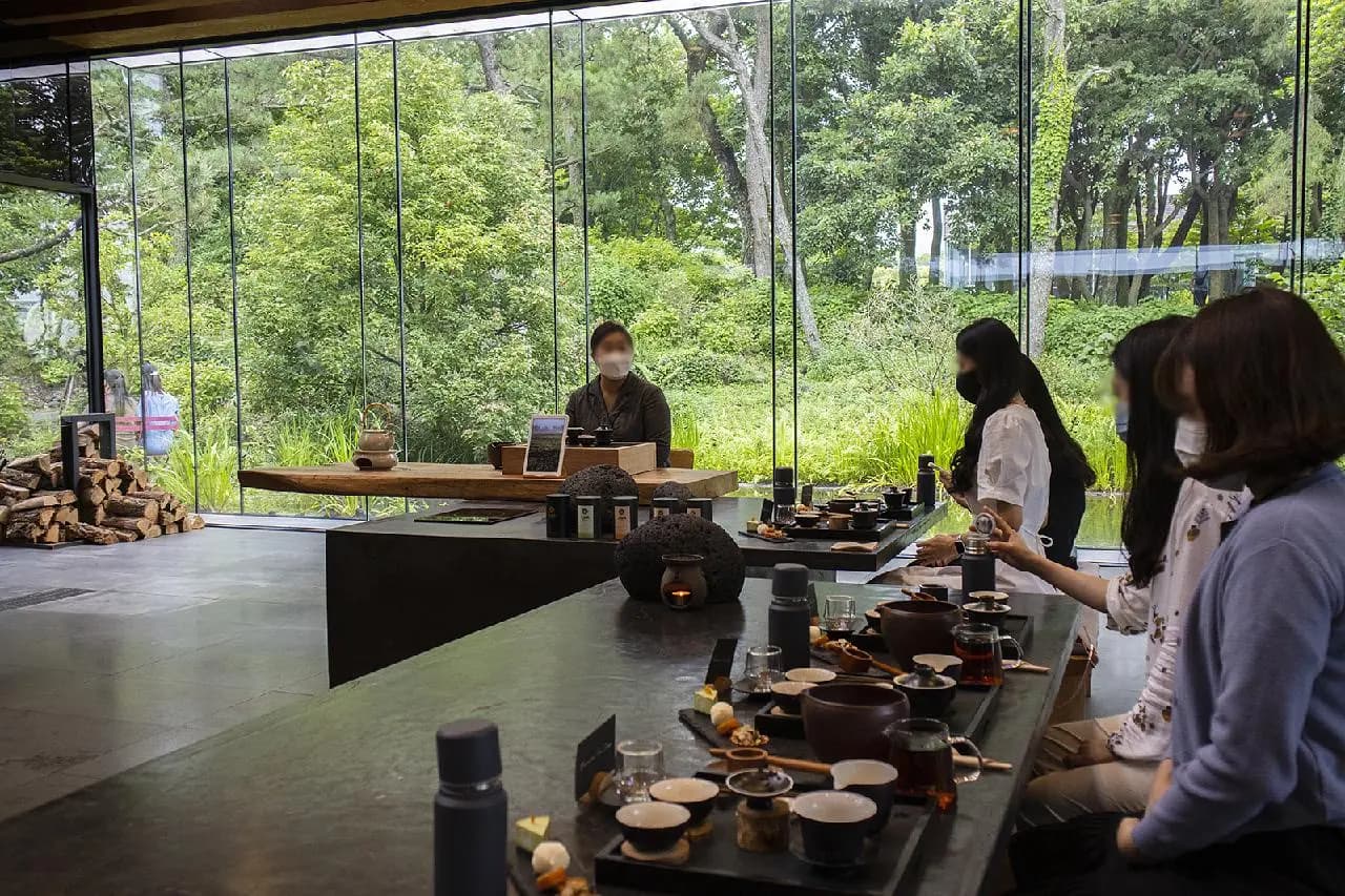 A Calming Green Tea Experience