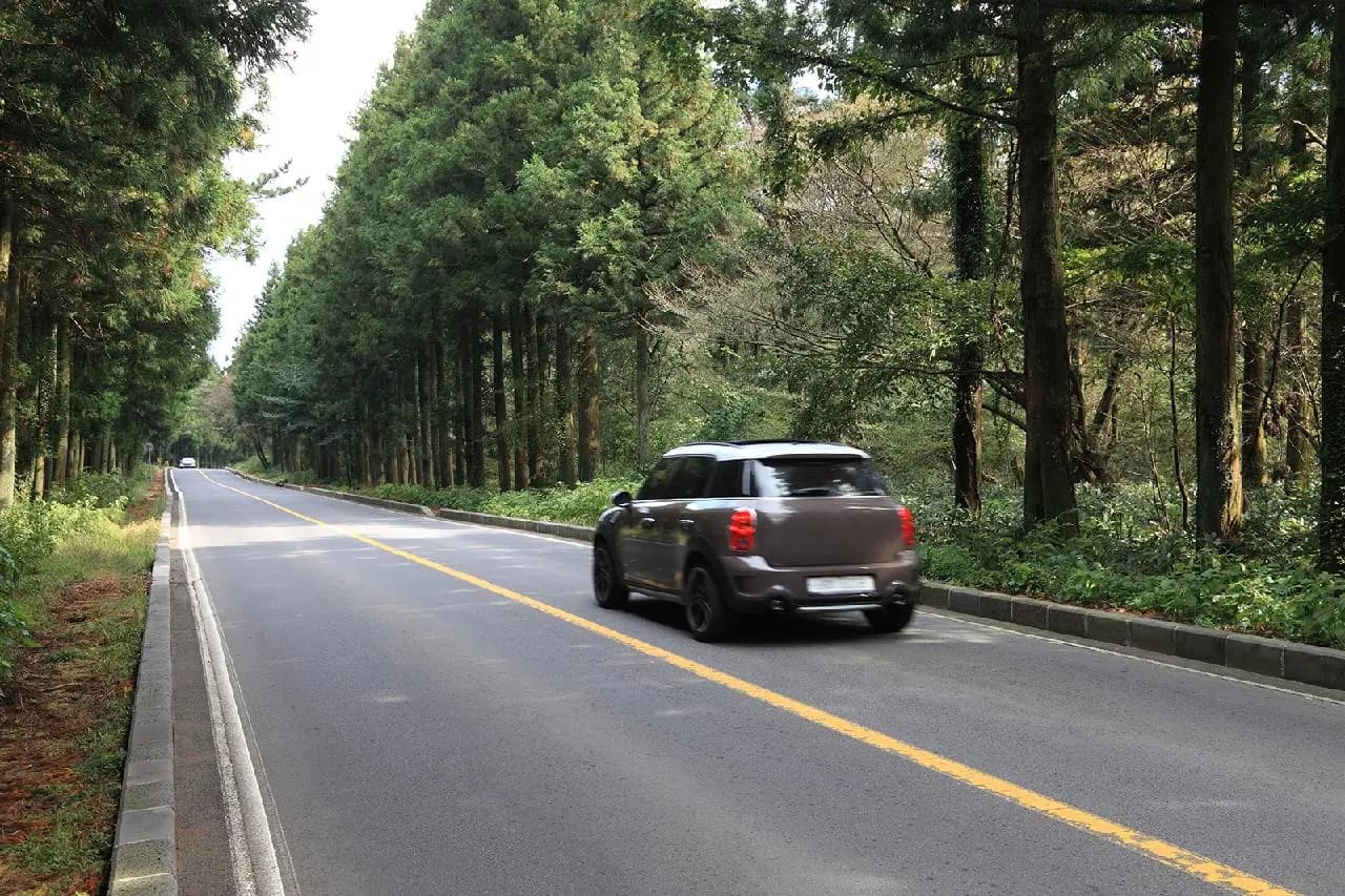 How to Rent a Car and Drive in Jeju: A Complete Guide