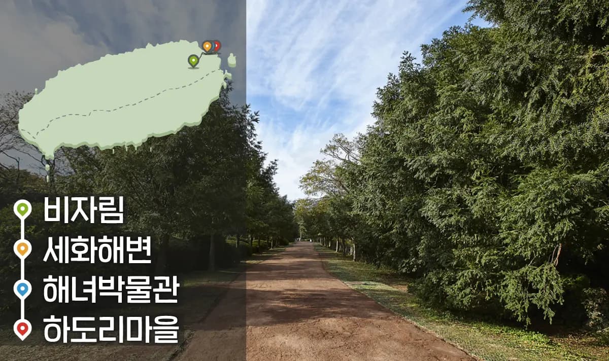 [같이가치 제주여행] 22. 반짝이는 자연과 옛 이야기가 있는 제주의 바다마을