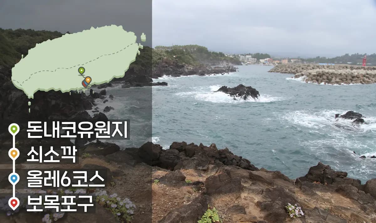 [같이가치 제주여행] 14. 한라산을 따라 흐르는 다양한 제주의 내음