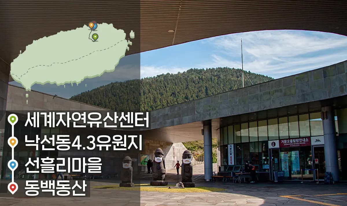 [같이가치 제주여행] 23. 제주가 간직한 소중한 유산, 선흘리