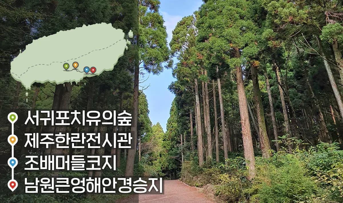 [같이가치 제주여행] 18. 산길 따라 따뜻한 남원으로 떠나는 여행