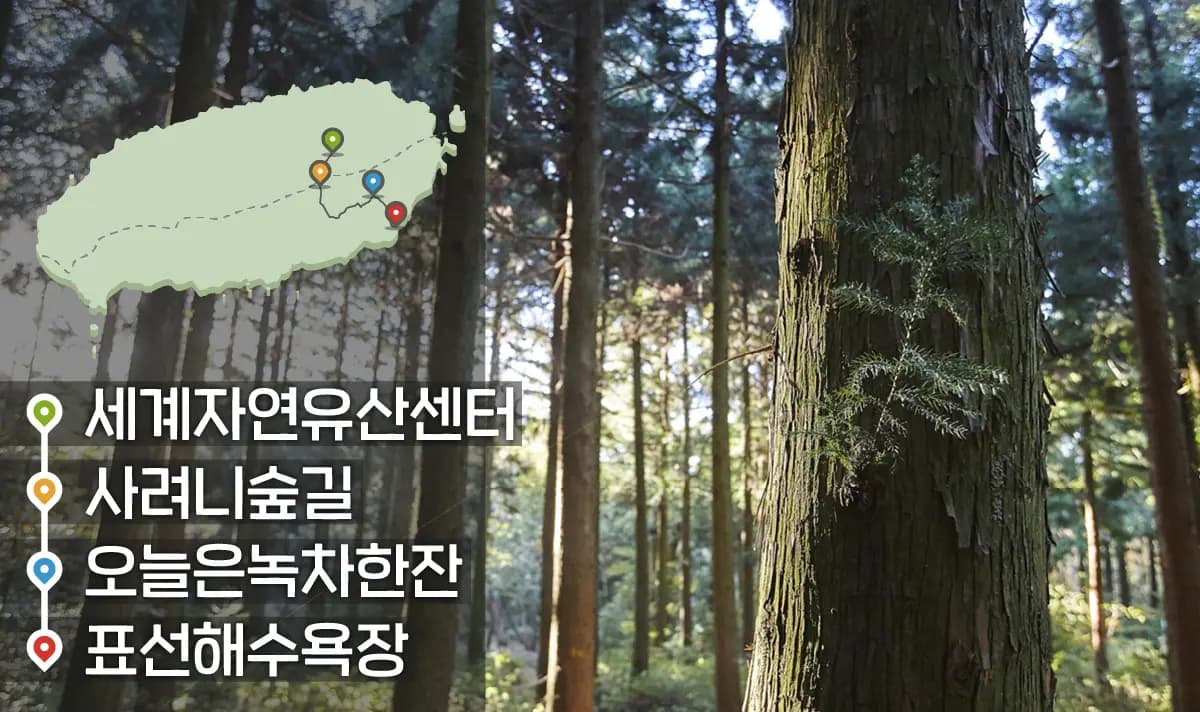 [같이가치 제주여행] 19. 서귀포시의 특별한 일상 여행
