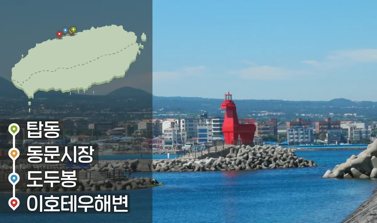 [같이가치 제주여행] 04. 기억하고 싶은 제주 원도심의 삶과 자연