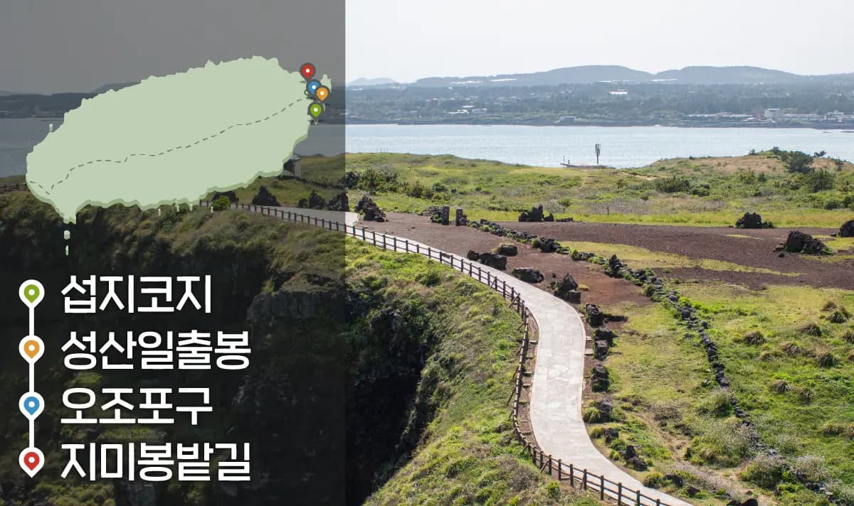 [같이가치 제주여행] 05. 뜨거운 태양이 떠오르는 제주 동부와 만나다