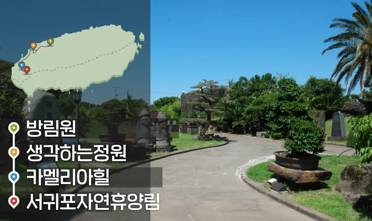 [같이가치 제주여행] 11. 놀멍쉬멍 즐기는 제주의 피톤치드