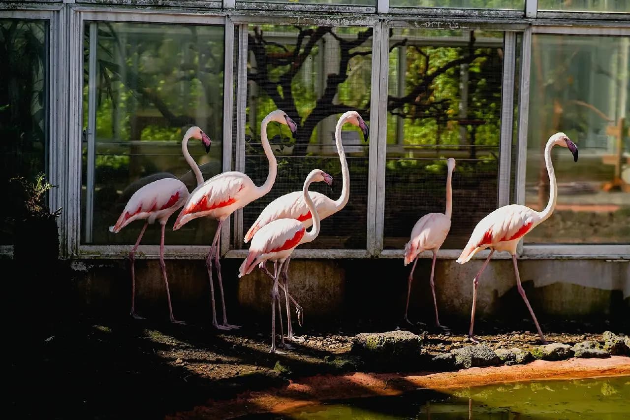Jeju Road Trips: Six Fun Spots on the Pyeonghwa-ro 