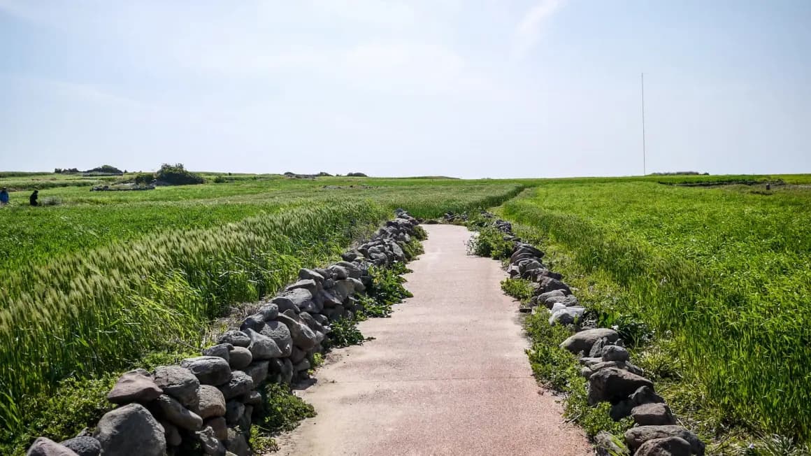 濟州奧雷 10 路線 (Jeju Olle Course 10)