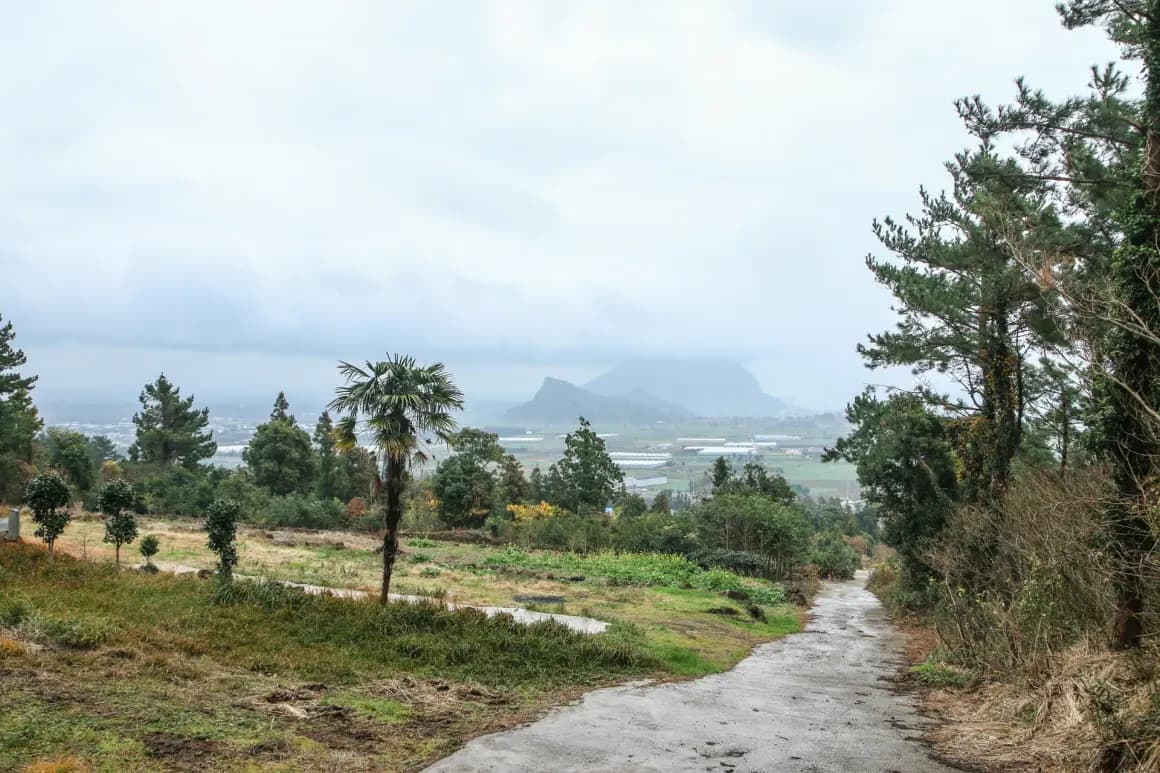 濟州奧雷 11 路線 (Jeju Olle Course 11)