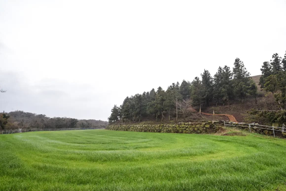 Jeju Olle Course 14-1