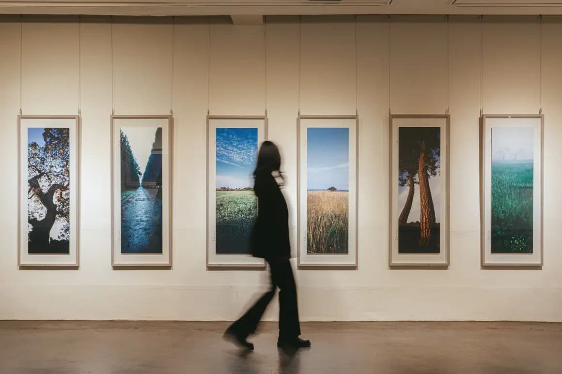 Jeju Art and the Artist