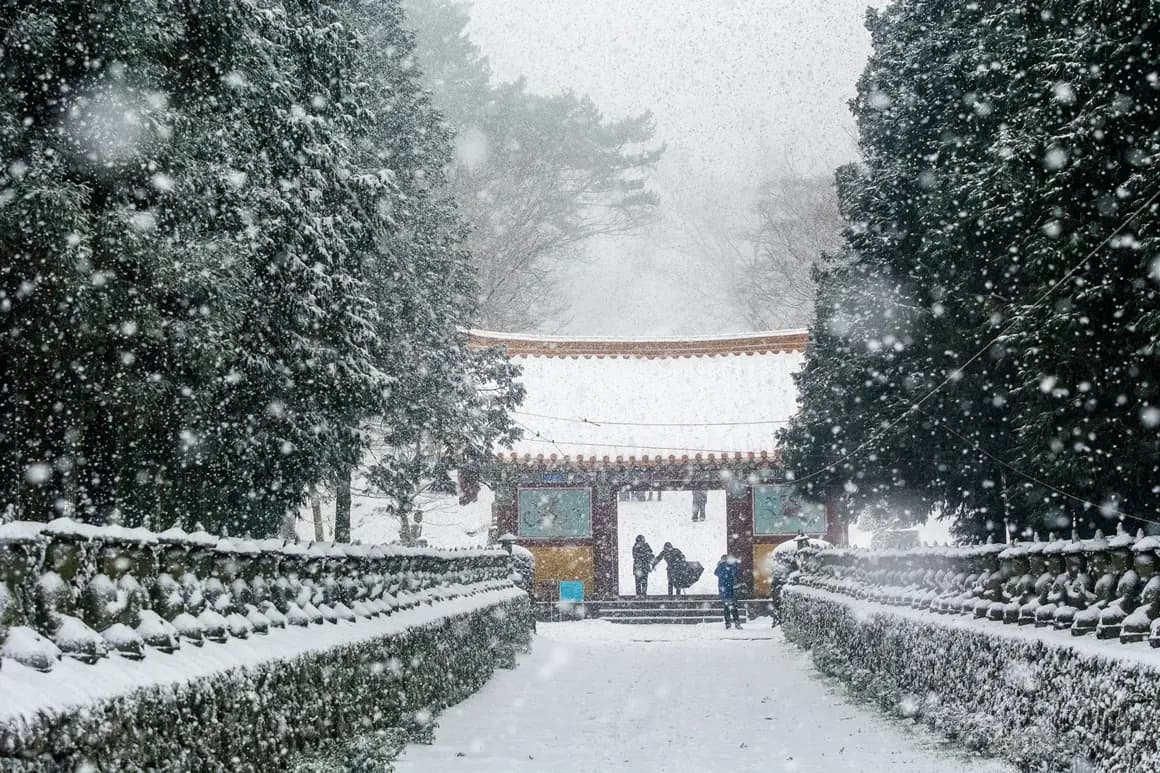 Jeju Weather & Seasonal Activities