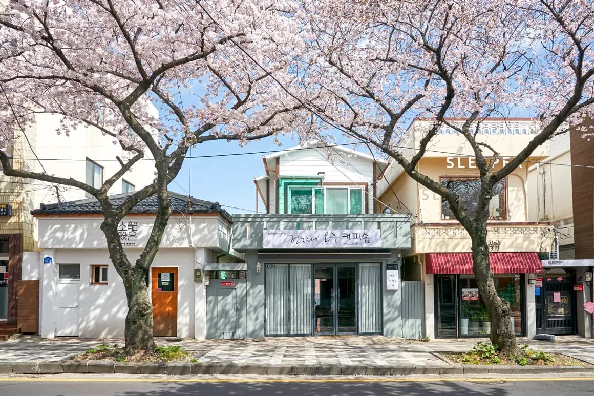 제주마을산책 <봄, 삼도동 벚꽃로드>